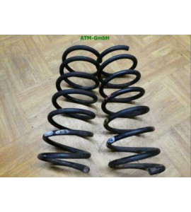 Feder Federn x 2 Stück hinten Hyundai Atos