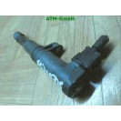 Zündspule Renault Megane Scenic Denso 7700875000 029700-8290 7700107177