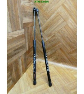 Gasdruck Heckklappendämpfer Gasdämpfer Dacia Sandero x 2 Stück hinten