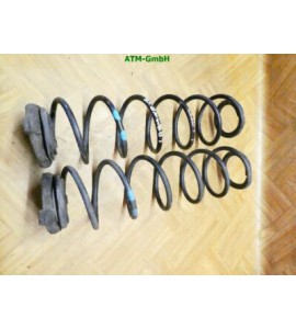 Feder Federn Renault Laguna 2 II x 2 Stück hinten