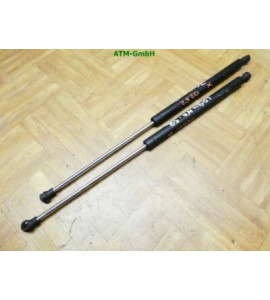 Gasdruck Gasdämpfer Heckklappendämpfer Renault Laguna 2 II x 2 Stück hinten