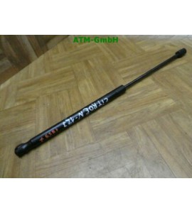 Gasdruck Gasdämpfer Dämpfer Heckklappendämpfer Citroen C2 9641721980