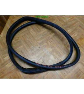 Türdichtung Dichtung Lexus IS I hinten links Fahrerseite