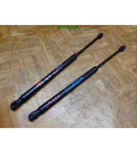 Heckklappendämpfer Gasdruck Gasdämpfer Citroen C3 5 türig x 2 Stück