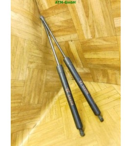 Gasdruck Heckklappendämpfer hinten x 2 Stück Renault Modus 8200219323