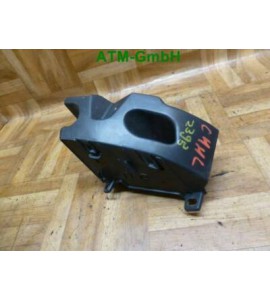 Stoßstangenhalter hinten links Citroen C4 9650693680B 20202