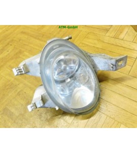 Nebelscheinwerfer Nebelleuchte NSW NLS Peugeot 206cc links Fahrerseite