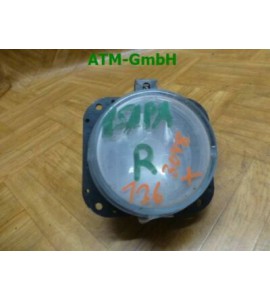 Nebelscheinwerfer Nebelleuchte NSW Citroen Xsara Picasso rechts Valeo