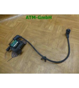 Zündspule Chevrolet Matiz