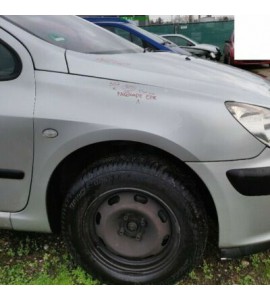 Kotflügel Peugeot 307 rechts Farbcode EZR Gris Aluminium Metallic Grau Silber