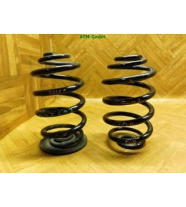 Feder Federn x 2 Stück hinten Renault Clio 2 II