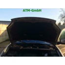 Motorhaube Citroen Berlingo Farbcode KDDC Farbe Sable Bivouac Metallic