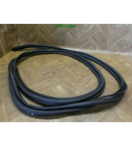 Türverkleidung Türdichtung Renault Modus hinten