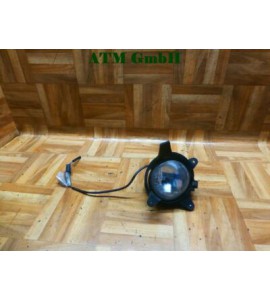 Nebelleuchte Nebelscheinwerfer vorne rechts Kia Carnival II Bj 01-05