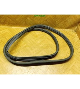 Türdichtung Dichtung Verkleidung vorne rechts Renault Clio 3 III 5 türig