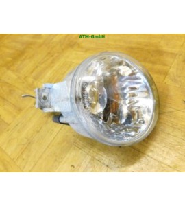 Nebelscheinwerfer Nebelleuchte NSW NSL VW Lupo links Fahrerseite