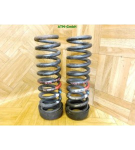 Feder Federn x 2 Stück Mercedes Benz C-Klasse W202 Limousine hinten