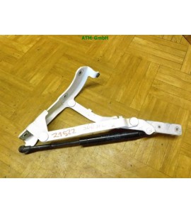 Heckklappendämpfer Gasdruck Gasdämpfer hinten links Fiat 500 Lift-O-Mat 645793