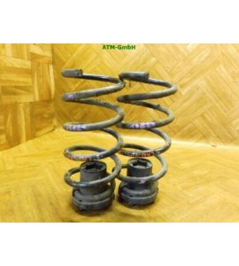 Feder Federn x 2 Stück hinten Lancia Ypsilon