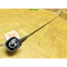 Antenne KFZ Fahrzeugantenne Peugeot 206+