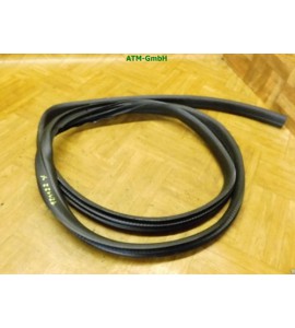 Türdichtung Dichtung Ford Fiesta 6 VI 5 türig hinten links Fahrerseite