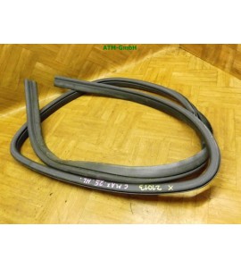 Türdichtung Dichtung Ford C-Max hinten links Fahrerseite