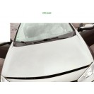 Motorhaube Renault Megane 2 II Farbcode NV603 Farbe Gris Hologram Grau