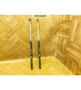 Heckklappendämpfer Gasdruck Gadsämpfer x 2 Stück hinten Renault Clio 2 Campus