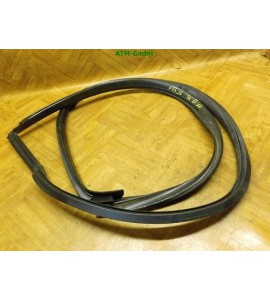 Türdichtung Dichtung vorne links Audi TT Fahrerseite