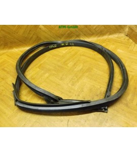 Türdichtung Dichtung vorne rechts Audi TT Beifahrerseite