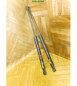 Heckklappendämpfer Gasdruck Gasdämpfer Ford KA 2 II 51794232 x 2 Stück hinten