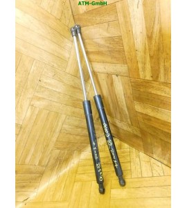 Heckklappendämpfer Gasdruck Gasdämpfer Renault Clio 3 III x 2 Stück hinten