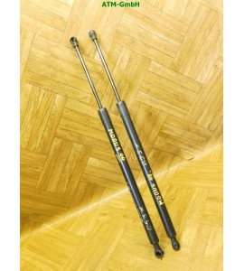 Heckklappendämpfer Gasdruck Gasdämpfer x 2 Stück hinten Renault Modus
