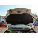 Motorhaube Renault Laguna 3 III Farbcode DV369 Blanc Glacier Arktisweiss Weiss