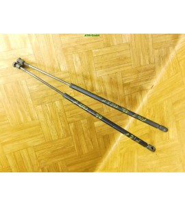 Heckklappendämpfer Gasdruck Gasdämpfer x 2 Stück hinten Ford Fiesta 5 V