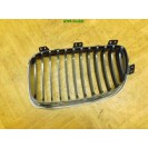 Grill Attrappe Kühlergrill Frontgrill rechts BMW 1 E81 51.13-7166440