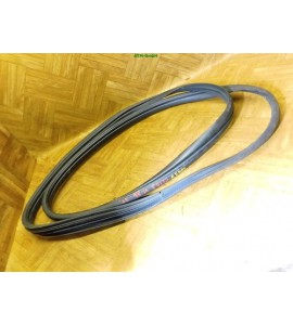 Dichtung Türdichtung vorne links Renault Clio 3 III 3 türig Fahrerseite