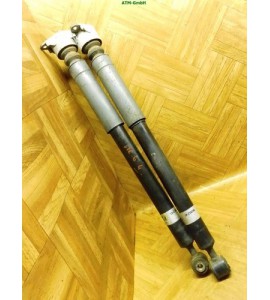 Federbein Pralldämpfer Stoßdämpfer x 2 Stück hinten Ford Fiesta 6 VI 3 türig