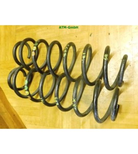 Feder Federn x 2 Stück hinten Seat Ibiza 3 III 6L1