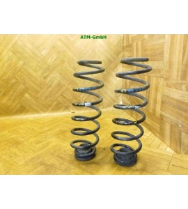 Feder Federn VW Fox x 2 Stück hinten