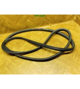 Dichtung Türdichtung rechts VW Fox Beifahrerseite