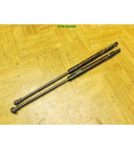 Heckklappendämpfer Gasdruck Gasdämpfer x 2 Stück hinten Smart ForTwo Coupe 451