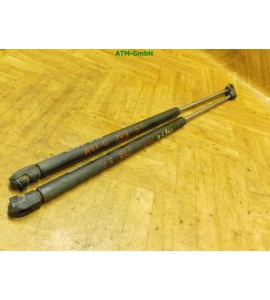 Gasdruck Gasdämpfer Heckklappendämpfer x 2 Stück hinten Opel Astra G 5 türig