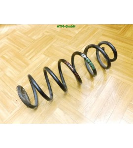 Feder hinten VW Bora New Jetta