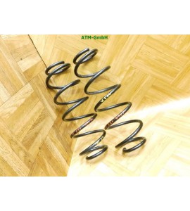 Feder Federn x 2 Stück hinten Mercedes Benz A-Klasse W169