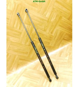 Heckklappendämpfer Gasdruck Gasdämpfer x 2 hinten Mercedes Benz A-Klasse W168
