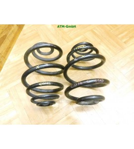 Feder Federn Opel Corsa C 3 türig x 2 Stück hinten