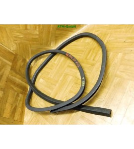 Dichtung Türdichtung hinten links Ford Fusion Fahrerseite