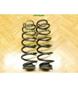 Feder Federn x 2 Stück hinten VW Fox