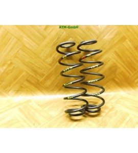 Feder Federn x 2 Stück hinten Ford Fusion